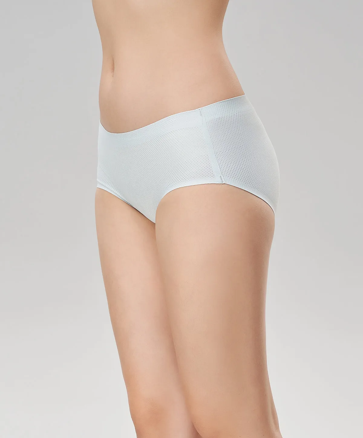 Absolute Seam Free Boxshorts Panty 509-6447