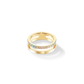 Eternal Unity Ring gold-multicolour pastel